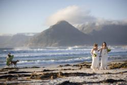 GDW Brides